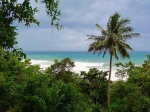 Tropical beach view featuring palm trees and turquoise ocean waves, representing travel destinations and experiences on ExploreTraveler.