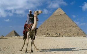 Dromedary camel with rider in front of the Great Pyramid of Giza, representing travel and exploration in Egypt.