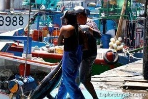Yellowfin Tuna sushi lovers may know better as ahi at Su ao Port Taiwan