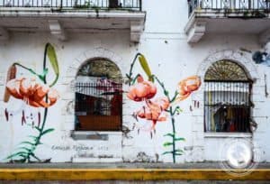 Colorful mural of pink flowers on a white wall in Casco Viejo, Panama, showcasing local art and culture.