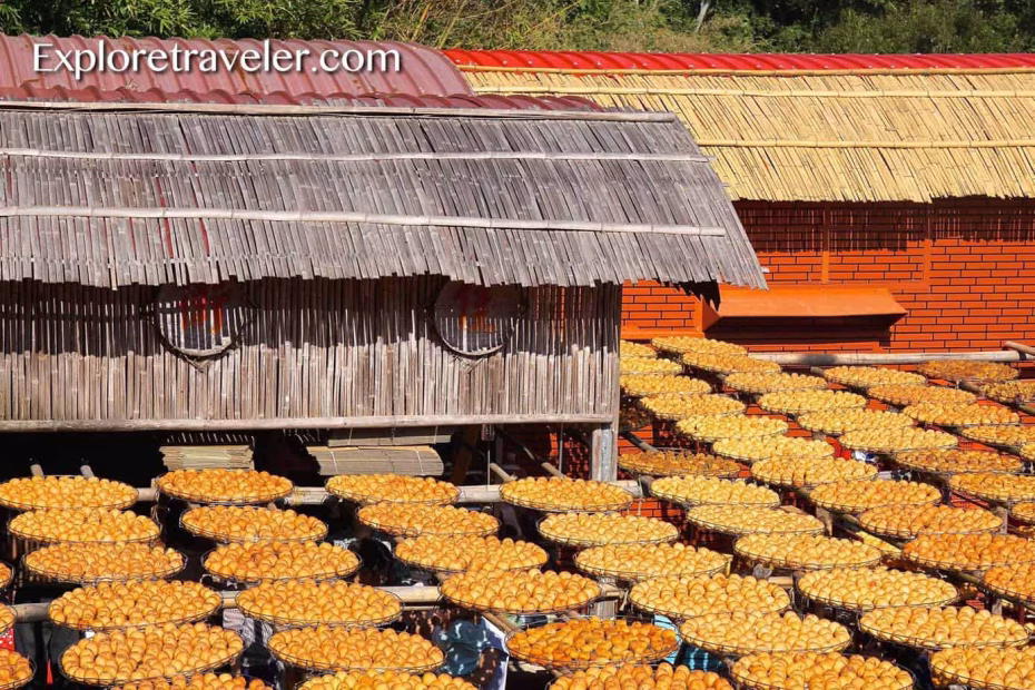 Persimmon Farm Trip