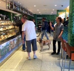 Dog in a café with customers and staff, showcasing a pet-friendly travel experience.