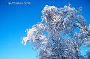 Wasilla Alaska