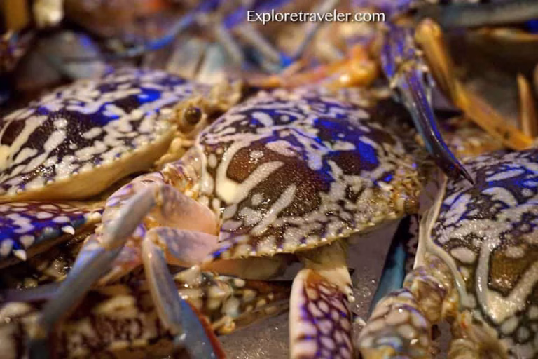 Blue Swimming Crabs