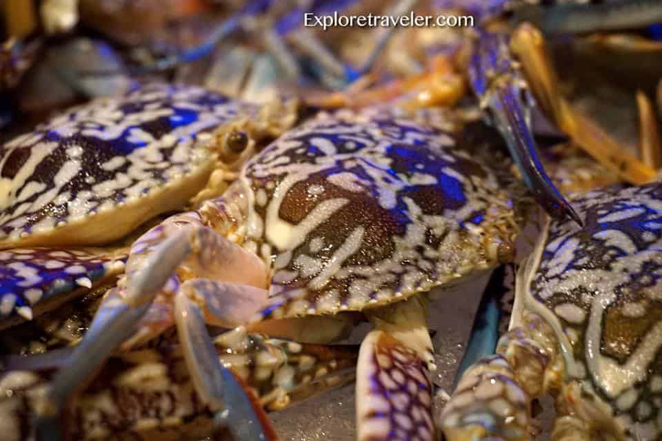 Mga Asul na Swimming Crab