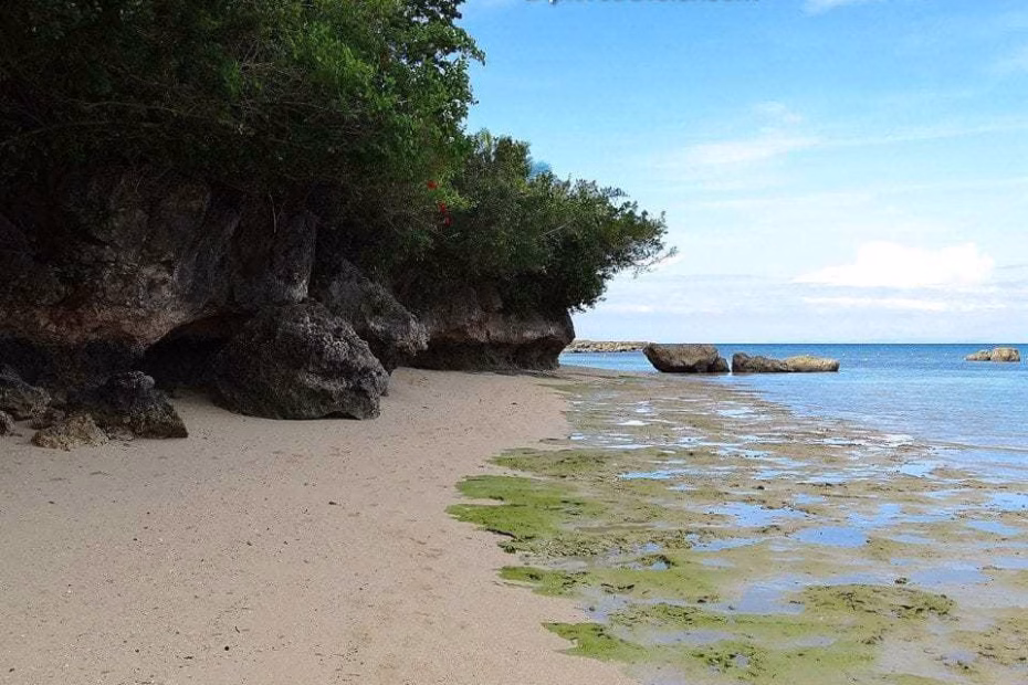 Olango Island Wildlife Sanctuary wetlands in the Philippines