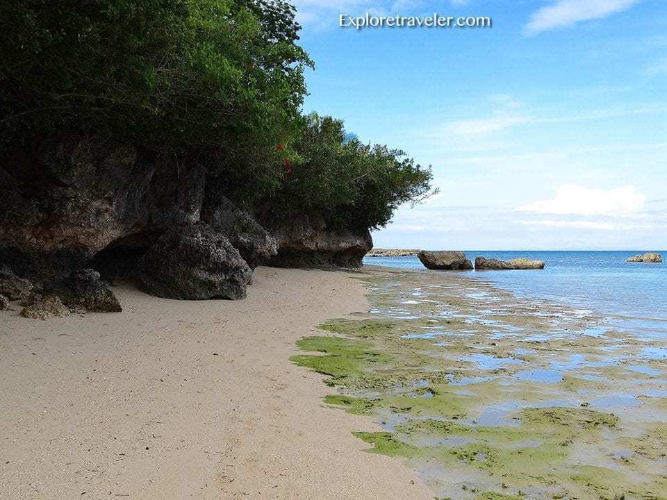 Zones humides du sanctuaire de faune de l'île d'Olango aux Philippines