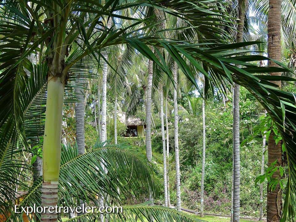 Die perfekte Aussicht, versteckt im warmen philippinischen Dschungel