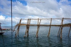 Fishing on the China Sea