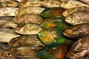 Freshly caught fish displayed in a market, showcasing various species, including vibrant green and brown fish, highlighting the local seafood offerings in Batangas, Philippines.