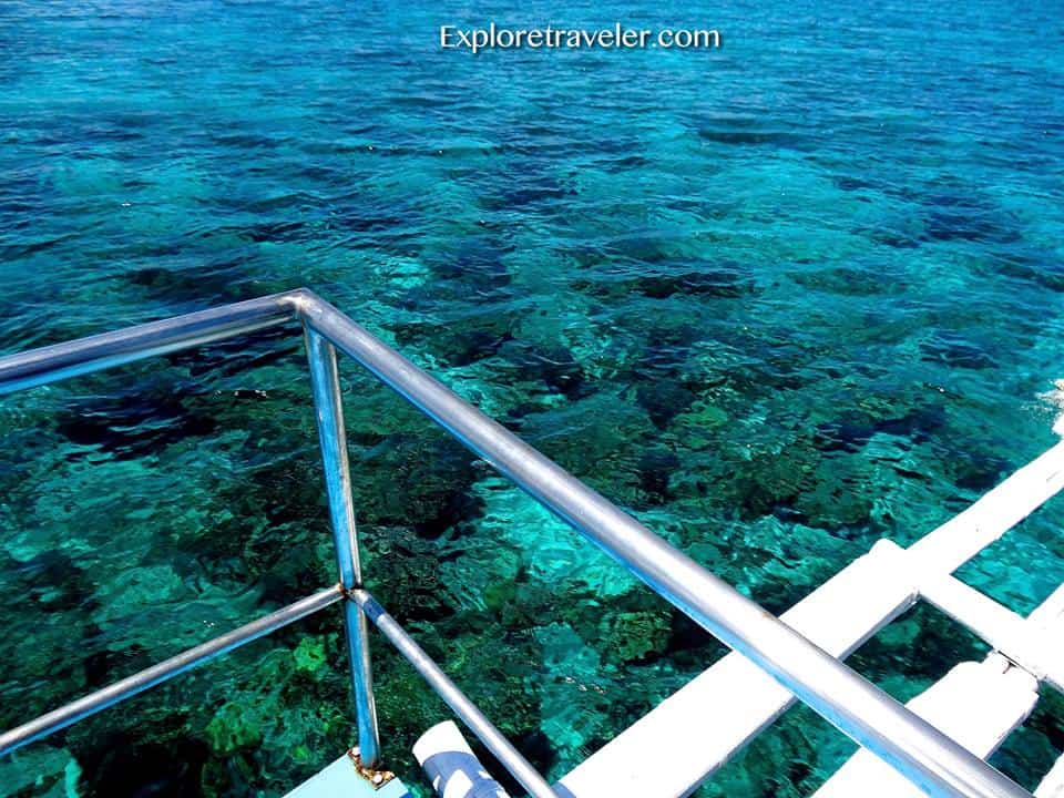 浮潜米沙鄢群岛