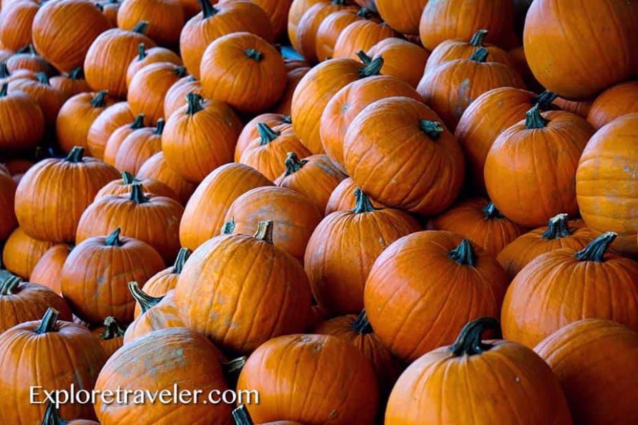 Pumpkins