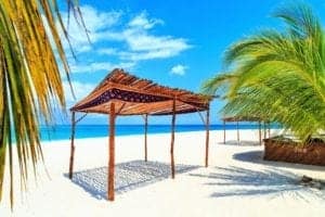 Beach scene with palm trees, wooden gazebo structures on white sand, and clear blue sky, highlighting a tropical travel destination for beach enthusiasts.