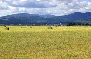 Vast steppe landscape in Coeur d'Alene, Idaho, featuring rolling hills, scattered hay bales, and a vibrant sky with clouds.