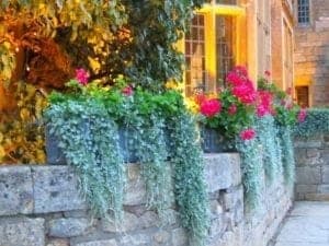 Flower pots with vibrant pink blooms and cascading greenery on a stone wall, enhancing the travel aesthetic in ExploreTraveler blog.