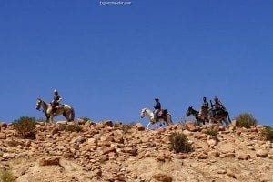 Bedouin Cowboys