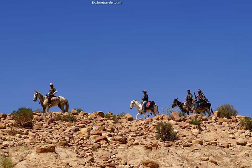vaqueros beduinos