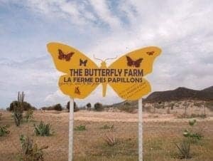 Butterly Farm Sign