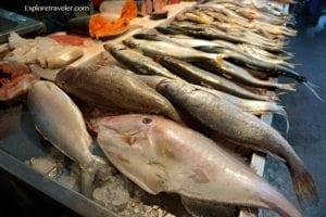 Fish