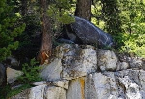 Marble Ridge