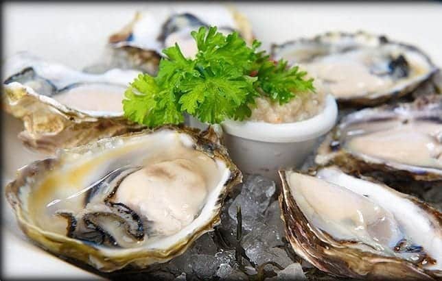 oysters