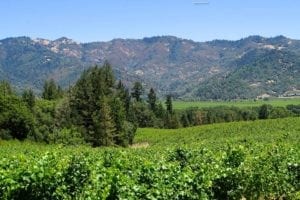 Napa Valley
