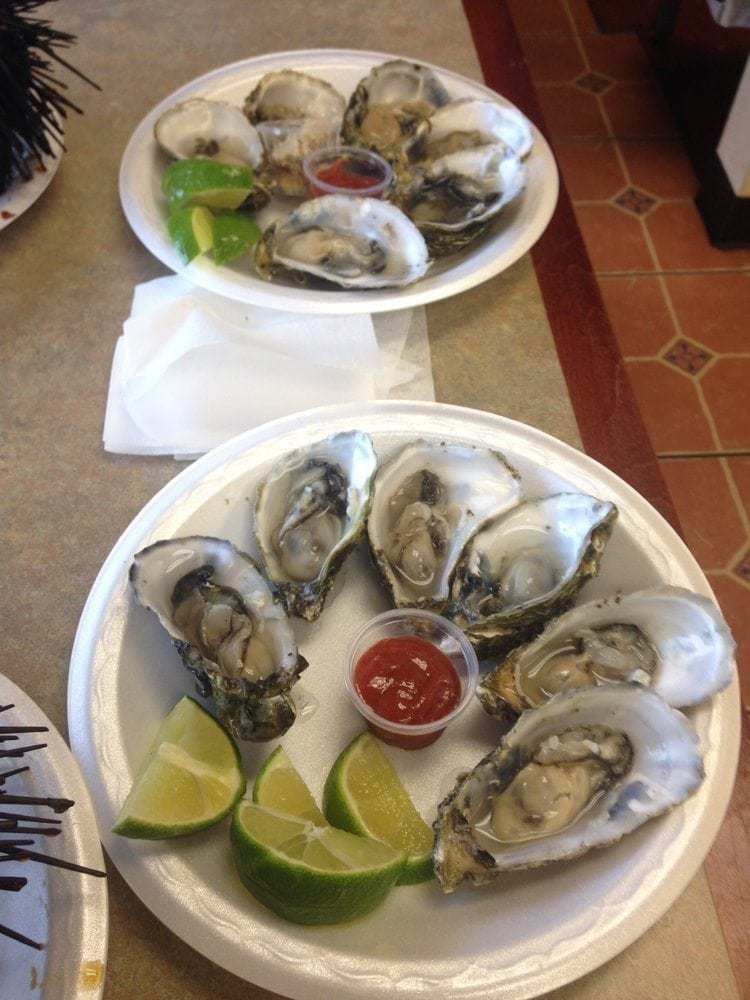 Oysters