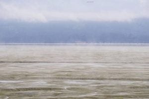 Arcata Bay