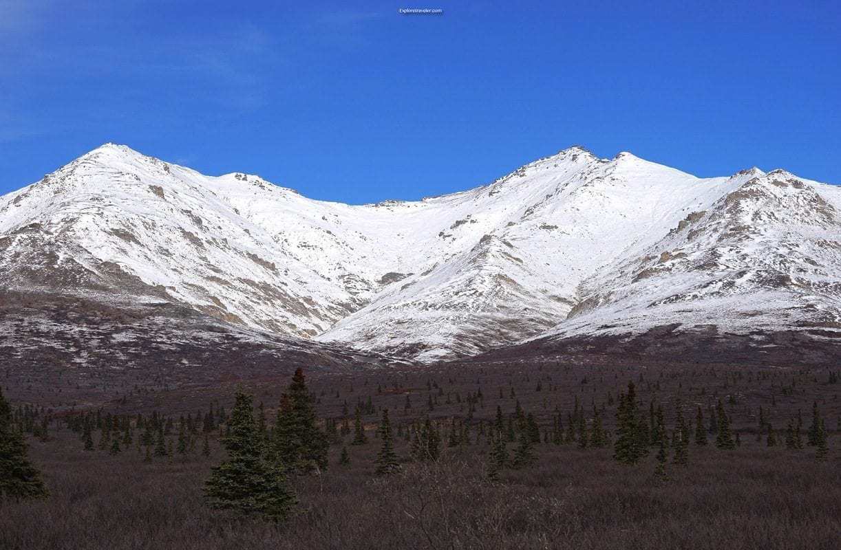 Photo of the day ~ Autumn in Denali National Park Alaska