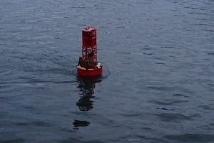 Seals lounging on a red buoy in the waters of Alaska, showcasing wildlife in the region.