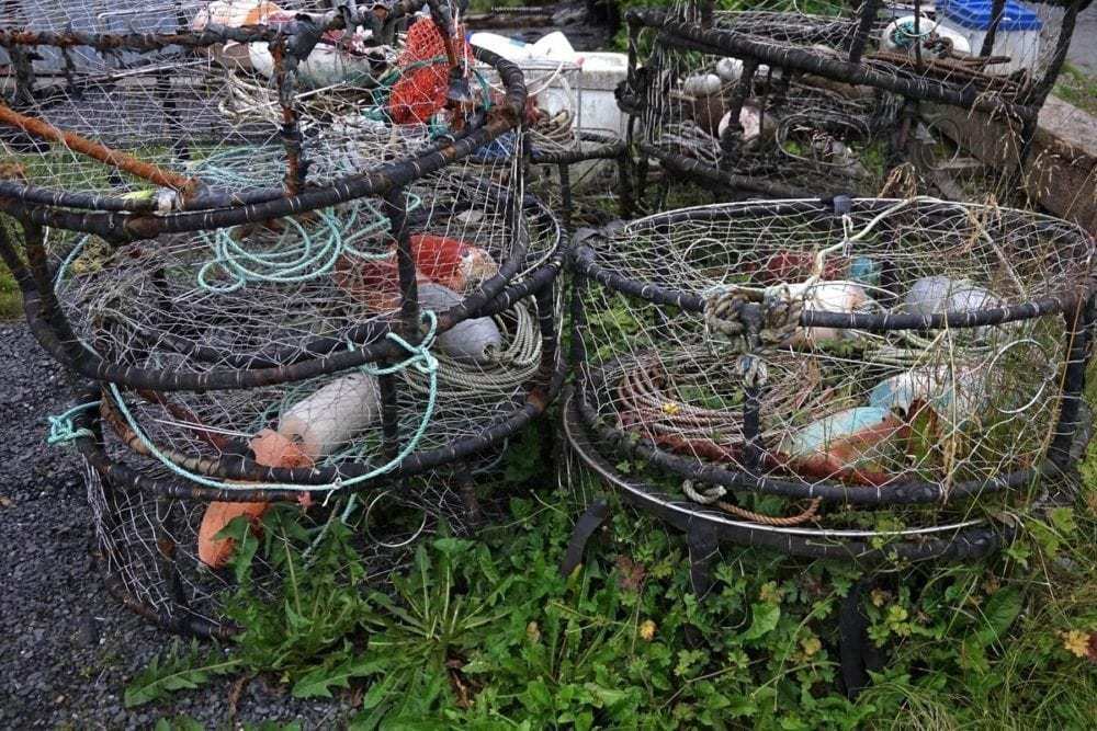  Alaska Marine Highway - Photo of the day ~ Dungeness Crab fishing