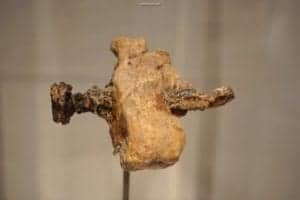 Christians Experience Holy Week In Jerusalem - Crucifixion