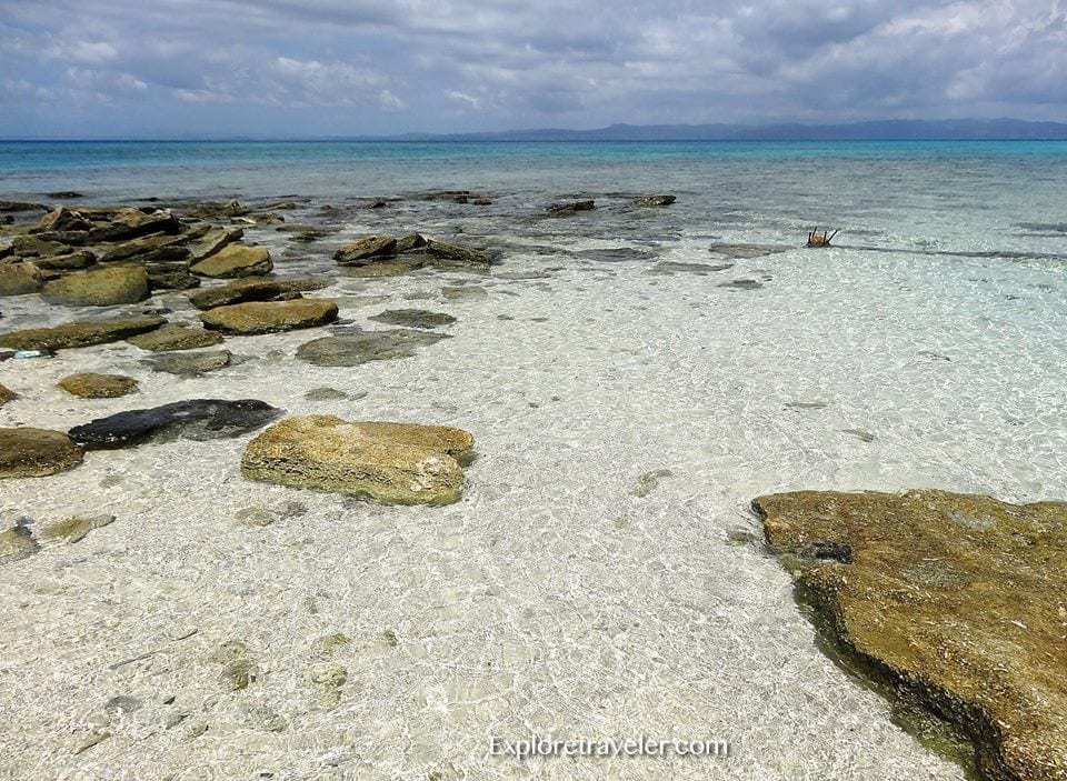 Isla ng Malapascua — Pilipinas - Seekor burung duduk di atas pantai berpasir di sebelah laut - Malapascua
