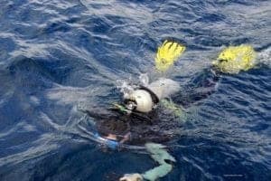 Scuba diver with yellow fins swimming in blue waters, showcasing diving experiences in the Philippines.
