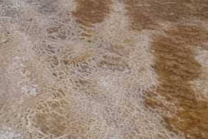 مياه البحر الميت العجائبية - البحر الميت