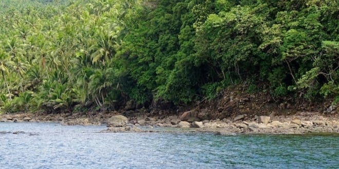 Isla ng Panaon: Southern Leyte, Pilipinas - A tree next to a body of water - Hinunangan