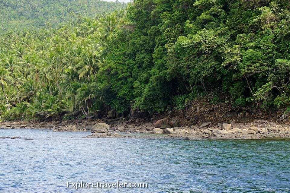 Isla ng Panaon：南萊特島，菲律賓 - 靠近水體的一棵樹 - Hinunangan