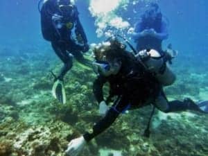 Tauchen in den Gewässern der philippinischen See - Ein Mann schwimmt im Wasser - Freitauchen