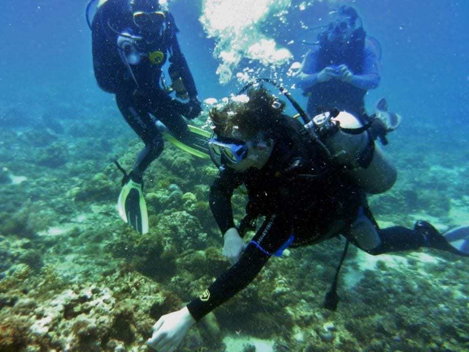 在菲律宾海水域进行水肺潜水 - 一个人在水中游泳 - 自由潜水