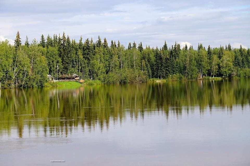 A Peaceful Afternoon On The Chena River - A large body of water surrounded by trees - Temperate broadleaf and mixed forest