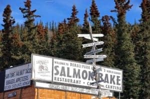 Pleasant Surprises At Denali National Park In Alaska - A sign hanging from a tree - Tree