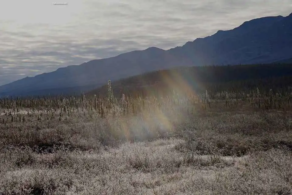 Winter In The Interior Of Alaska6