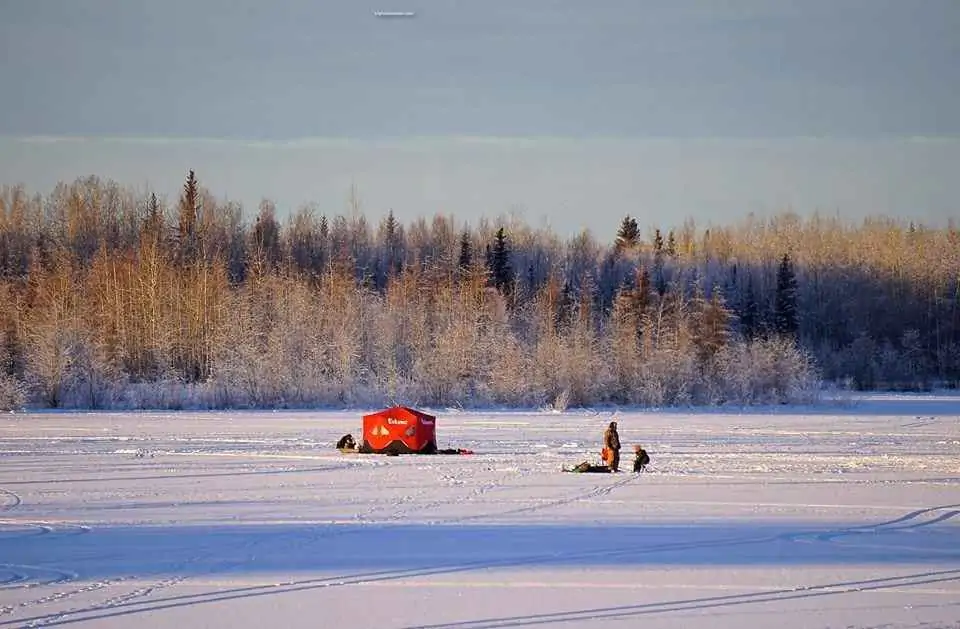 Winter In The Interior Of Alaska8