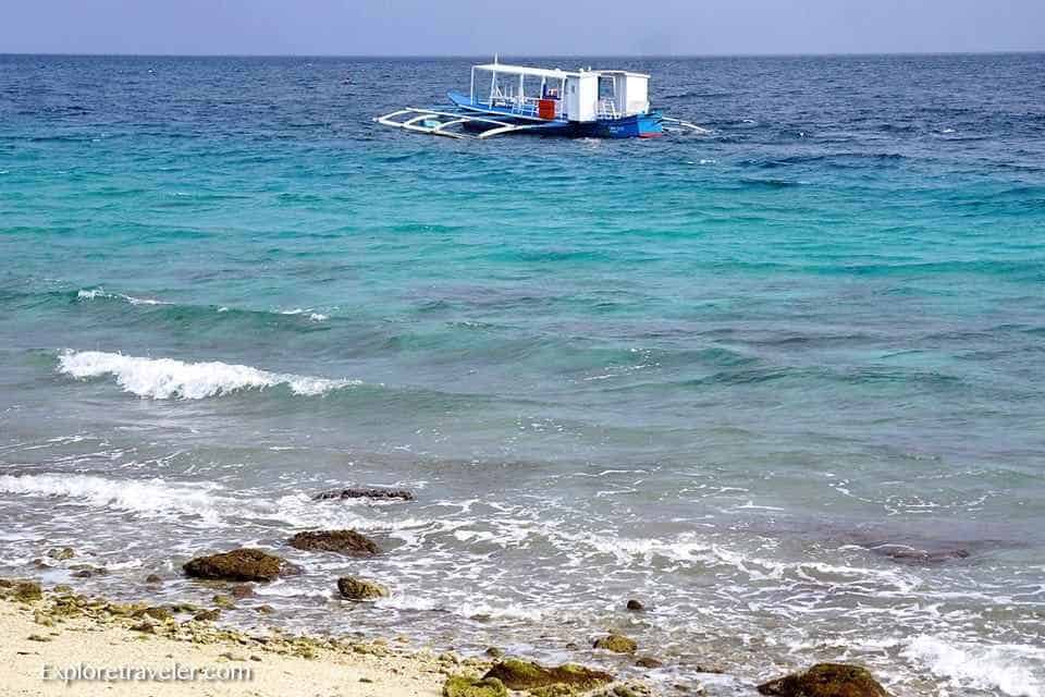 Scuba Diving In Sogod Bay