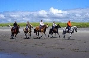 Travel Brings The World Together One Friend At A Time - A group of people riding a horse on a beach - Mare