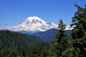 Mount Rainier towering above lush green forests under a clear blue sky, showcasing the stunning natural beauty of Washington State's Northern Cascades.