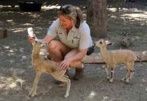 Woman interacting with baby animals in San Diego, showcasing joyful animal encounters at local attractions.