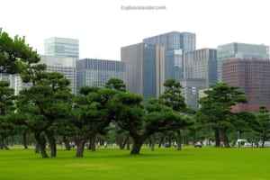 Explore Traveler Photo Tour Exploring The Uniqueness Of Japan