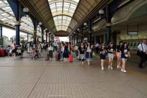Japan City Guide