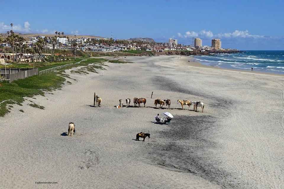 Rosarito Beach in Baja California Mexiko winkt Strandliebhabern überall Pferde am Strand